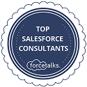 salesforce-summit-partner