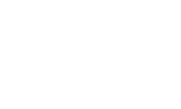 Fortune 500 badge