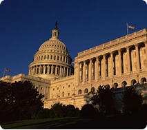 Public Sector