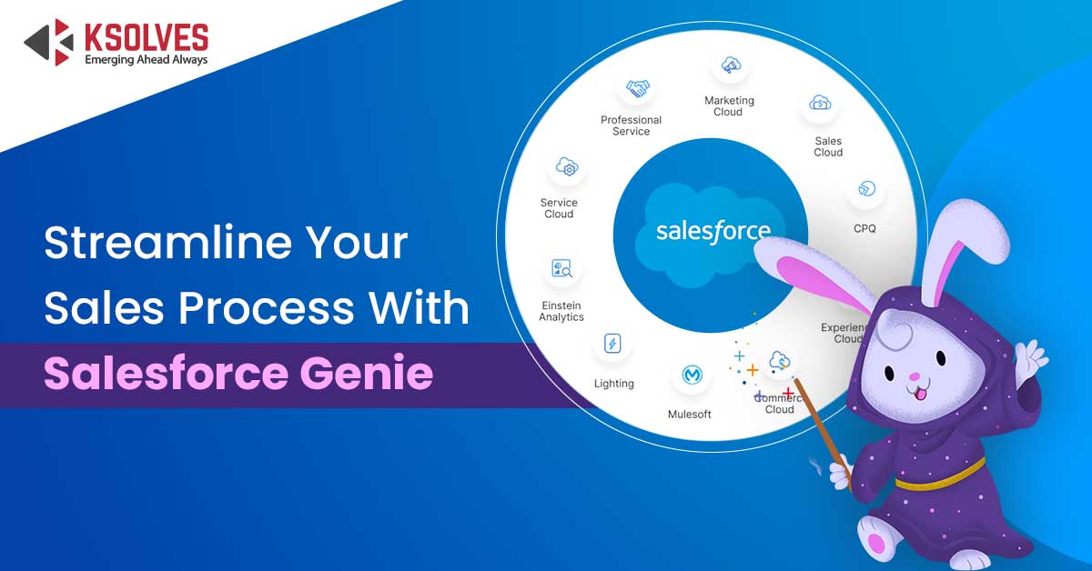 Salesforce-Genie