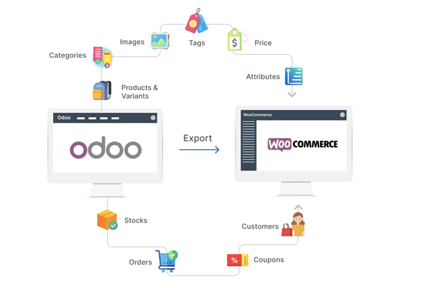 export data from Odoo to WooCommerce